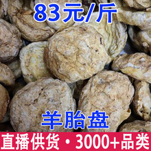 ̥P ̥P ߜغ̥P  ̥ ll