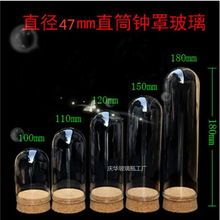 圆头直径47mm装饰摆件zakka创意木塞仿真植物盆栽微景观玻璃罩