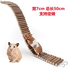鸟笼;鸟类;其他小宠用品