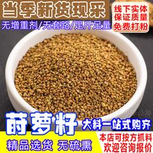 莳萝籽香料时罗子批发石落子莳罗子莳萝粉莳萝草灌香肠香料莳萝仔