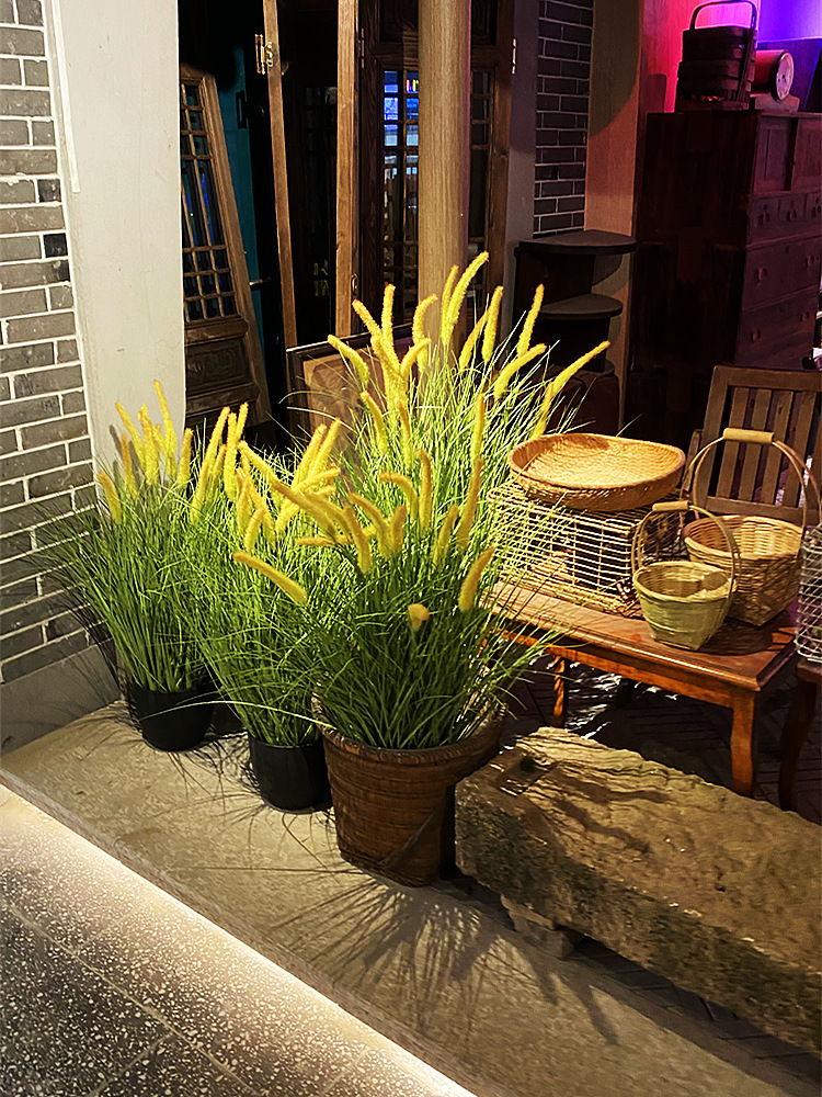 花舍網紅款仿真蒲草叢狗尾草干景落地植物灌木蘆葦景觀櫥窗小水草