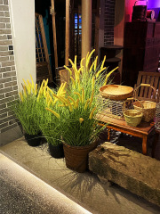 花舍網紅款仿真蒲草叢狗尾草干景落地植物灌木蘆葦景觀櫥窗小水草