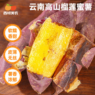 �������r�����ɏ�������ļt�����r�عϿ�����