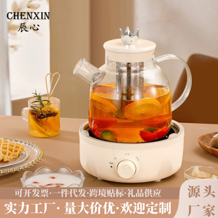 Health Pot Multifunctional Household Flower Teapot Small Office Kettle Mini Teapot Full Glass Kettle
