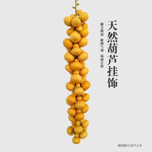 UG73 New home boutique natural gourd pendant door to door door to bedroom living room home feng shui gourd