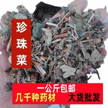 珍珠菜中药材珍珠菜 红丝毛 野生过路红 红根草 红梗草一公斤包邮