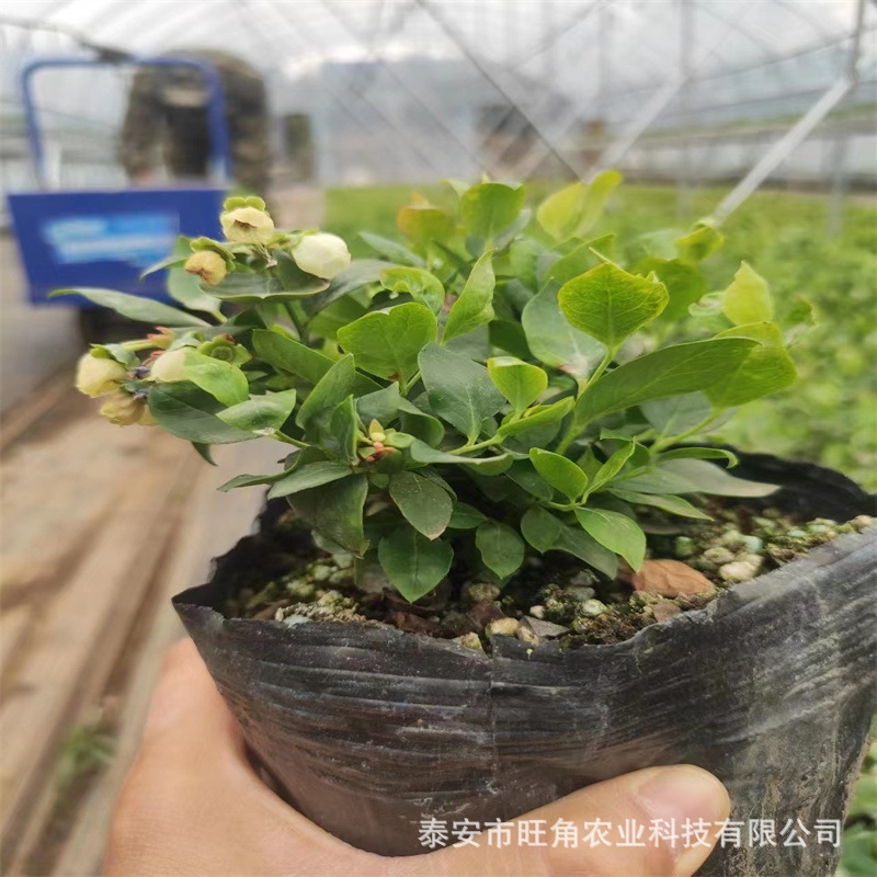 87e62b54baec74c20e85da3bca5764