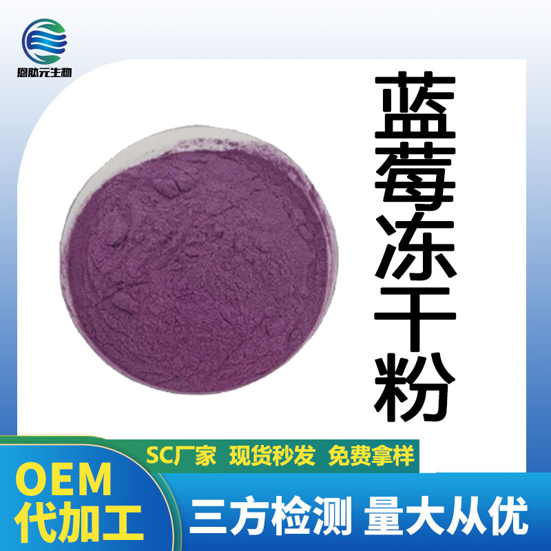 蓝莓冻干粉98% 蓝莓提取物 固体饮料 现货可拿样 1kg起订蓝莓果粉