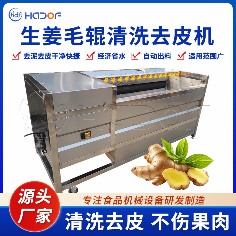 毛辊清洗机魔芋茭白毛刷去皮清洗设备全自动土豆嫩姜去泥皮机器|undefined