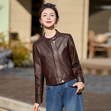 ���e�̿����IƤ��Ů2026�����¿�ٴ����׸К��|�@������ ZH1190