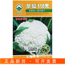 稼墙华松110天青梗松花菜种子晚熟春秋季白花菜甜脆散花菜白花菜