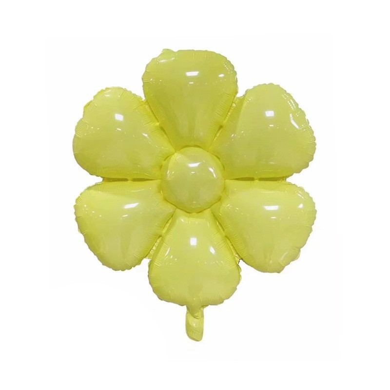 アマゾンの卵の花の小さい菊のアルミニウムの膜の風船は道具を撮影します。|undefined
