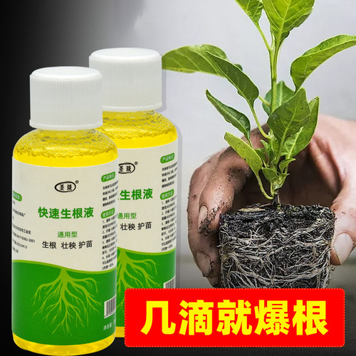 Plant rapid rooting liquid, growth agent, seedling rooting powder, nutrient solution, cutting, transplanting, rooting water, strong growth