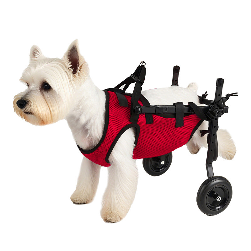 国境を越えたペット犬用車椅子、犬用リハビリ歩行補助車、電動アシスト車、障害のあるペット犬用スクーター|undefined