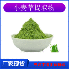 小麦草提取物10:1   水溶 食品级 浸膏粉 小麦苗汁粉千诺生物现货