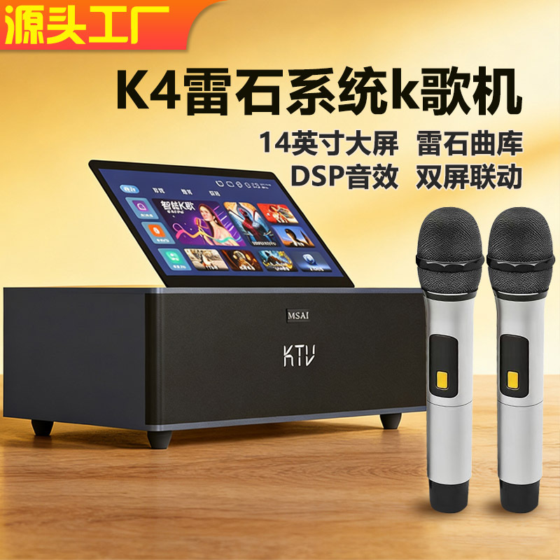 带无线话筒雷石会员蓝牙音响音箱家用麦克风高音质k歌卡拉ok源厂