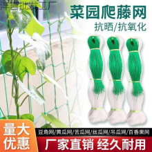 爬藤网农用植物山药黄瓜豌豆苦瓜豆角丝瓜吊瓜百香果攀爬网种植网