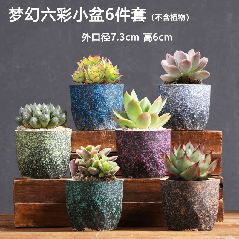 Creative Ceramic Flower Pot, Handmade Factory Direct, Assorted Decorative Designs, Small 7–10 cm