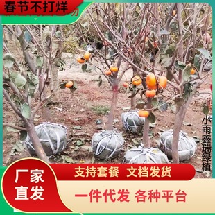 һ�����l���Ә䎧�����ش��ձ������������ͥԺ�����Ϙ��Ϸ�����