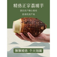 ������V���������^���r�F�������Ŵ���𮔼������^�a��ֱ�l