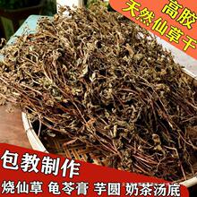 仙草干仙草冻黑凉粉草粿草汁正宗仙人粄草龟苓膏烧仙草 新鲜草干