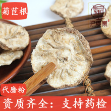 大货菊苣 菊苣根 辣根 菊苣根片 可按要求磨菊苣根
