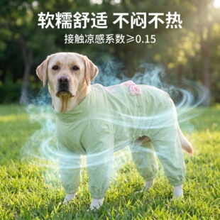 ����Ȯ�����ļ��������_�����´�����K���xƤ�w͸��Ӽҷ���ë��