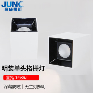 Household Anti-Glare Single-Head Grille Lamp for Living Room Lighting, Smart Full-Spectrum 98 Cri Led Square Surface-Mounted Downlight