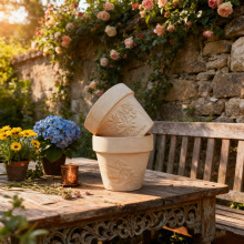 �t�լ���仨�踡������ˮ͸��Gֲ�����ﺣ�Ĳ��F��