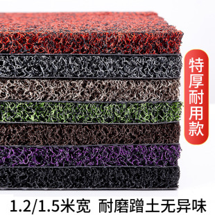 Thickened Door Silk Loop Floor Mat Household Doorway Non-Slip Thickened Foot Mat Entrance Door Waterproof Plastic Carpet Can be Cut