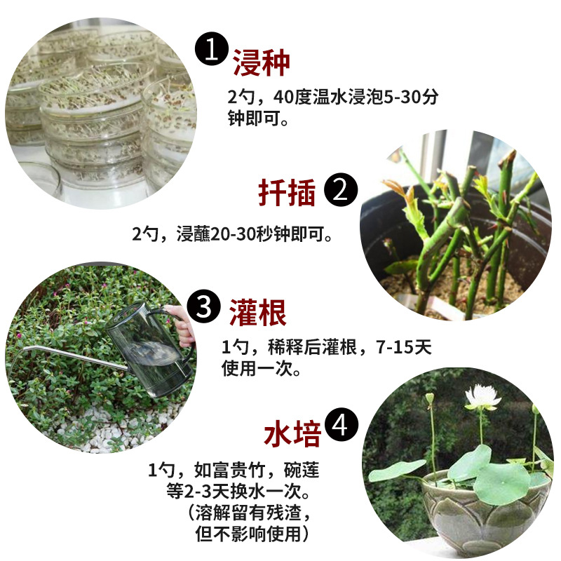 Dewoduo rooting powder, transplanting rooting cuttings, fast plant universal rooting agent, powerful flower seedling strengthening agent