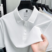 2026�¿�polo���п��\���A���o��ᘿ��I�ĺϿ۶��������̄ձ���