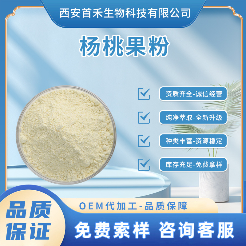 杨桃果粉 杨桃速溶粉 浓缩粉 多种规格 全水溶 1kg起订