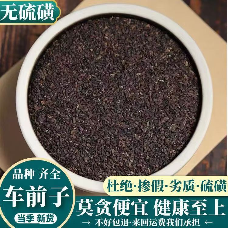 Dried Plantain Seed Che Qian Zi 500g Traditional Chinese Herb for Decoction and Tea specifications