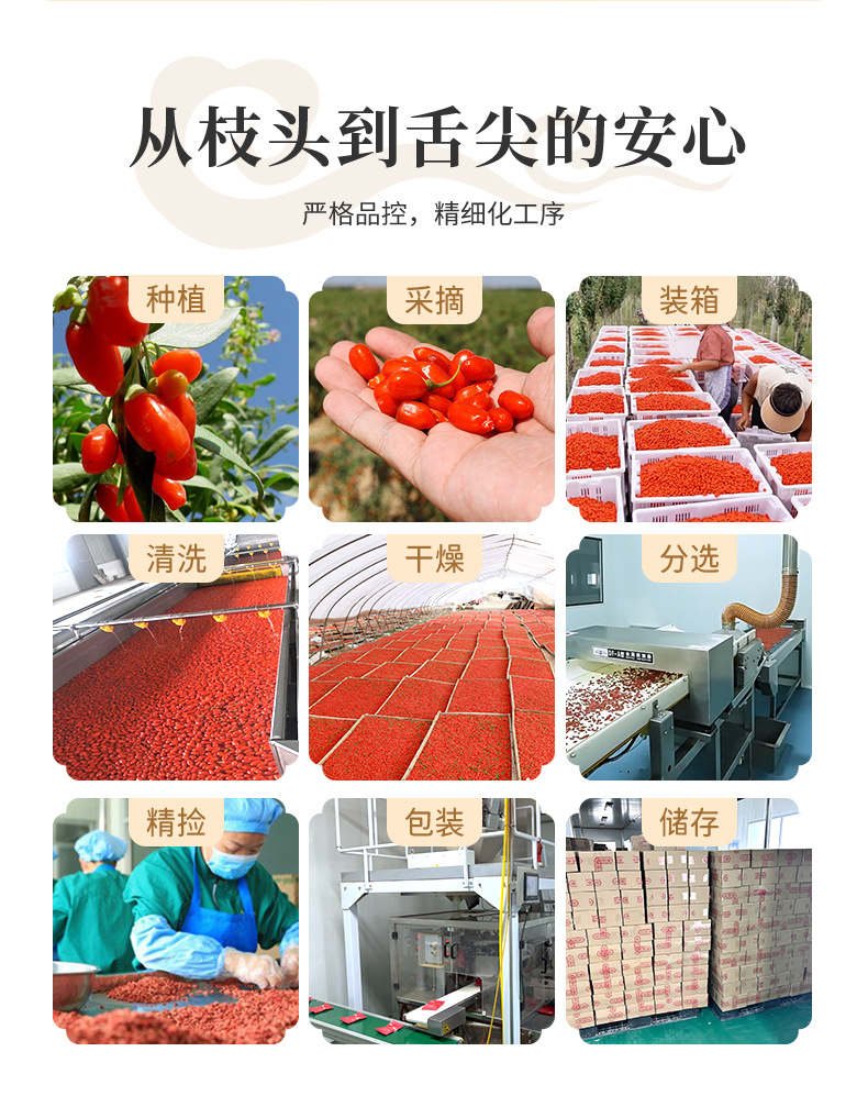 Dried Goji Berries Gou Qi Zi 1 Jin Ningxia Premium Grade Ready to Eat key features