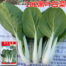 102~ײ˷NСײ˷Nļ߮͟a˷N߲˷N