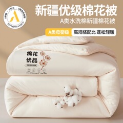 2025新品A类新疆棉花被棉花优品被子被芯冬被春秋被学生被家用