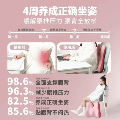 Waist support, Lumbar Supports with Memory Foam Slow Rebound