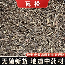 ������ș�� ���ɲ� �߻�����������F�����߻�����������䱳���l