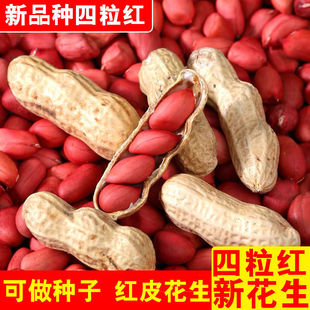 �߮a�tƤ���������N�ӻ�������Ƥ��ԭ�N����Ʒ�N���|�����t����