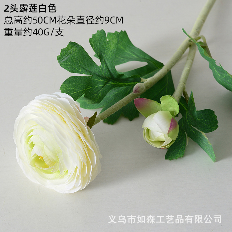 2 cabezas de rocío blanco