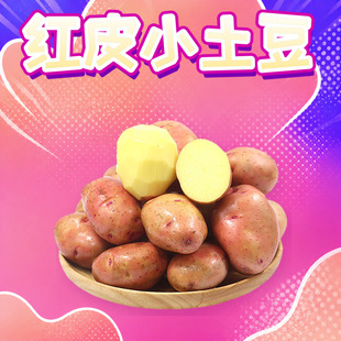 ��ϼtƤ��ŴС���� ���l3/5/9���S����Ŵ���������������r�߲�
