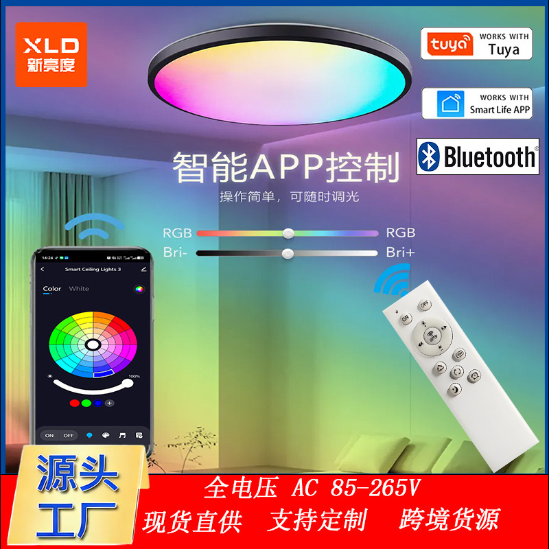 Graffiti Bluetooth smart ceiling light Alexa Google ultra-thin simple Bluetooth RGBCW colorful bedroom light