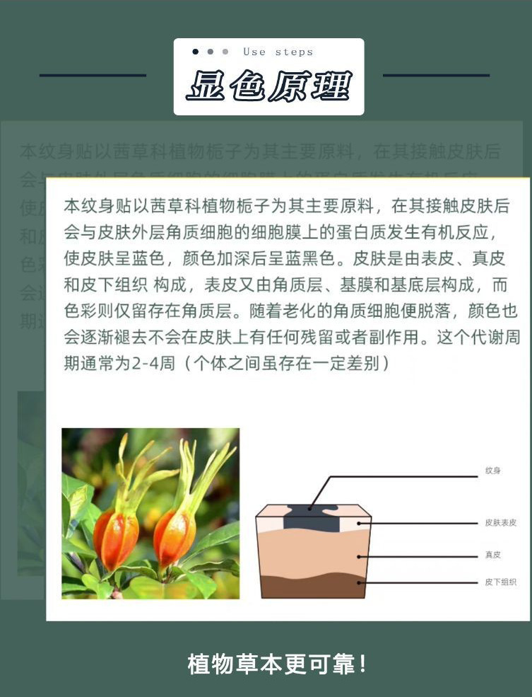 草本纹身贴详情页_03.png