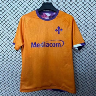 25-26��׷��_�����T�_�����ܿ���ķ����Fiorentina���͈������