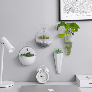 Hydroponic Wall-Mounted Flower Pot, Wall-Hanging Vase, Lazy Plastic Wall-Mounted Hanging Flower Pot with Hook