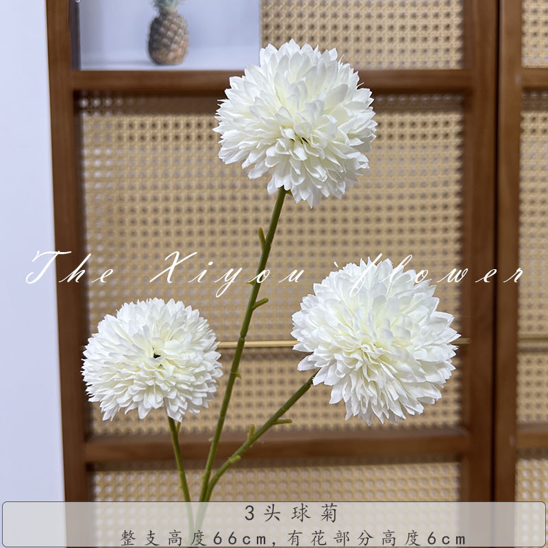 3구 국화