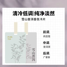车用香水香薰;车挂