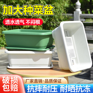 �Ӻ�N����̨�L�����������ͥ�߲˷Nֲ��N�ˌ��ô�̖���û���