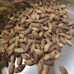 �n����500g ��ș�����l �����Ĕz����șș�I���n��